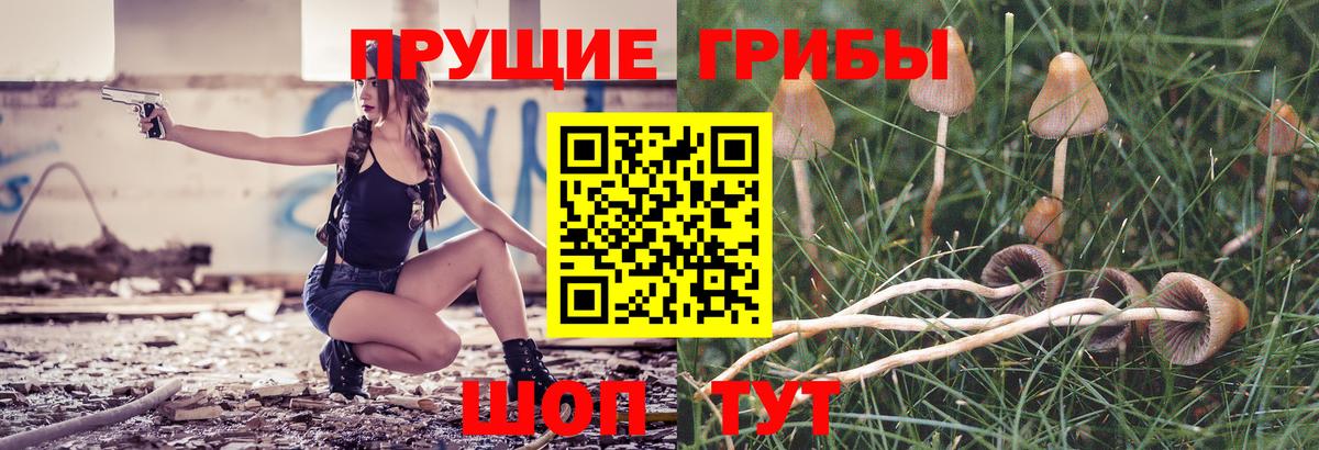 Псилоцибиновые грибы MAGIC MUSHROOMS  Вход с VPN  Галлюциногенные грибы Psilocybe  купить наркотики цена  Шебекино 